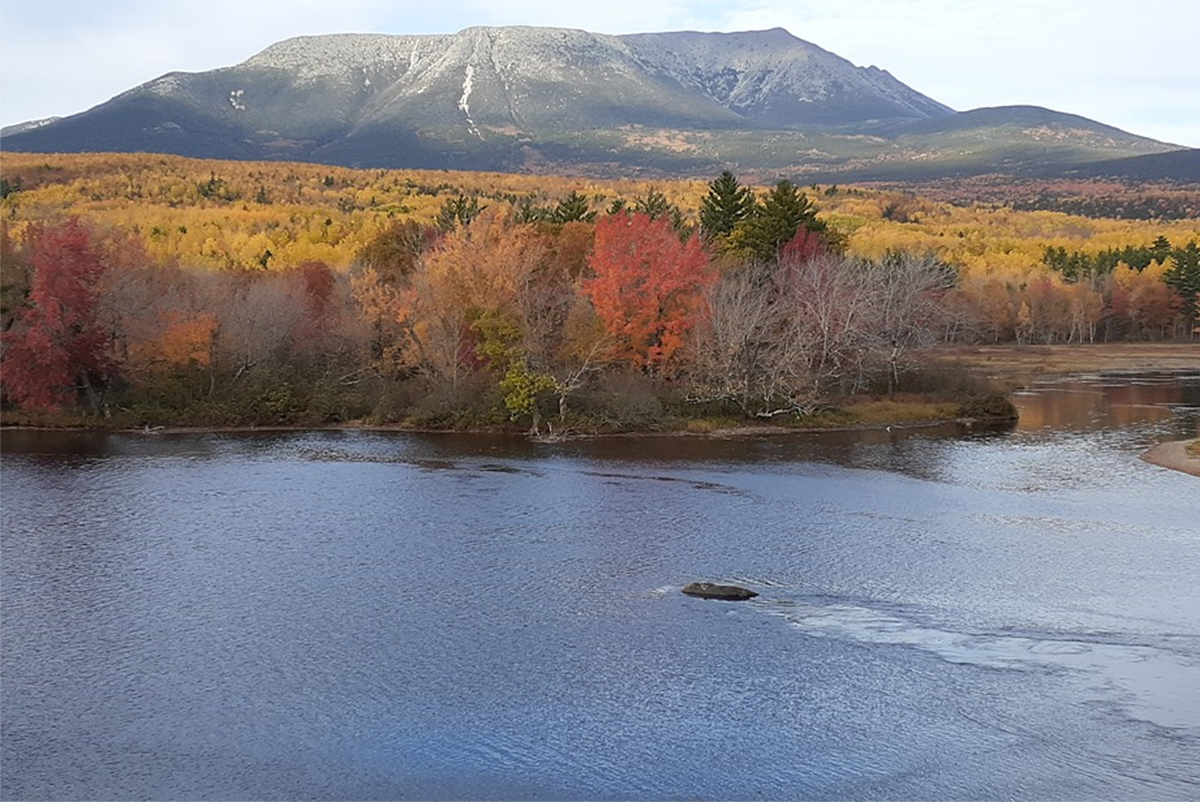 Home Wabanaki Alliance